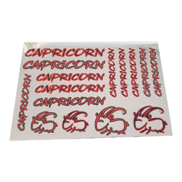 CAP-00005 CAPRICORN ADESIVI PER CARROZZERIA MIRROR EFFECT