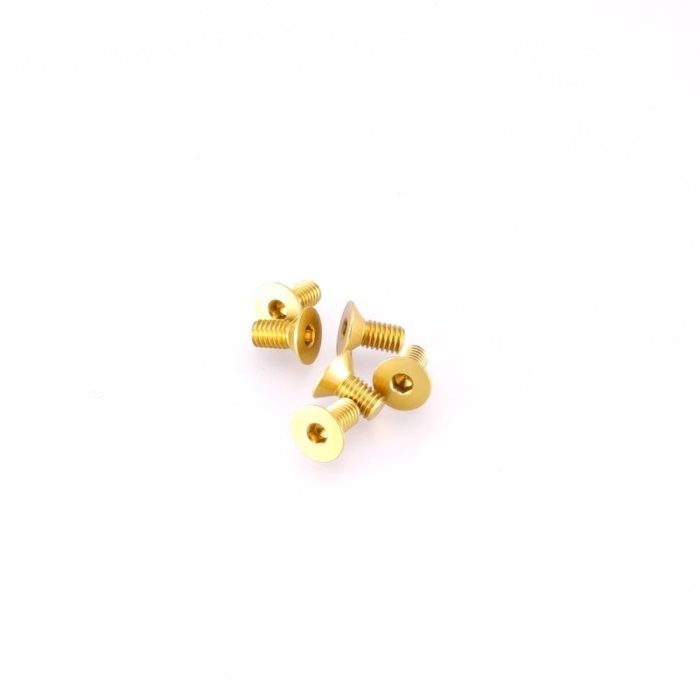 ONE-2350-G-6 CAPRICORN VITE M4X8 TESTA SVASATA 7075 GOLD